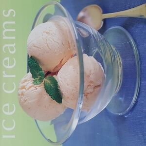 Vintage Ice Creams Cookbook